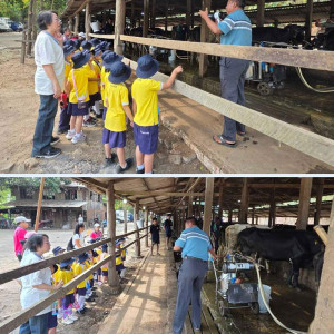 dairy farm visit excursion 01