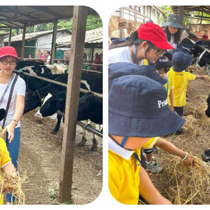 dairy farm visit excursion 01
