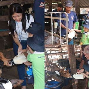 dairy farm visit excursion 01