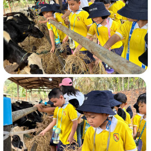 dairy farm visit excursion 01