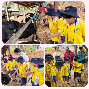 dairy farm visit excursion 01