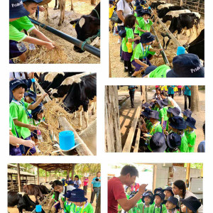 dairy farm visit excursion 01
