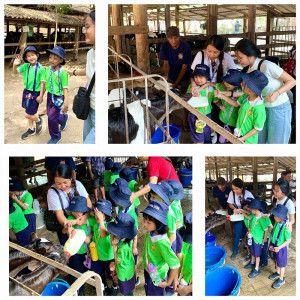 dairy farm visit excursion 01
