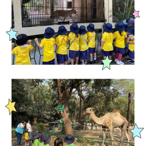 ism zoo visit 01