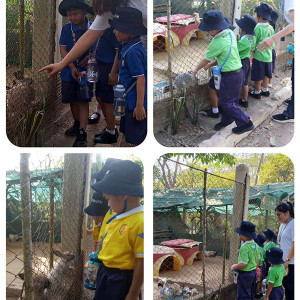 ism zoo visit 01
