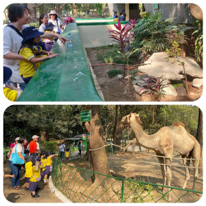 ism zoo visit 01
